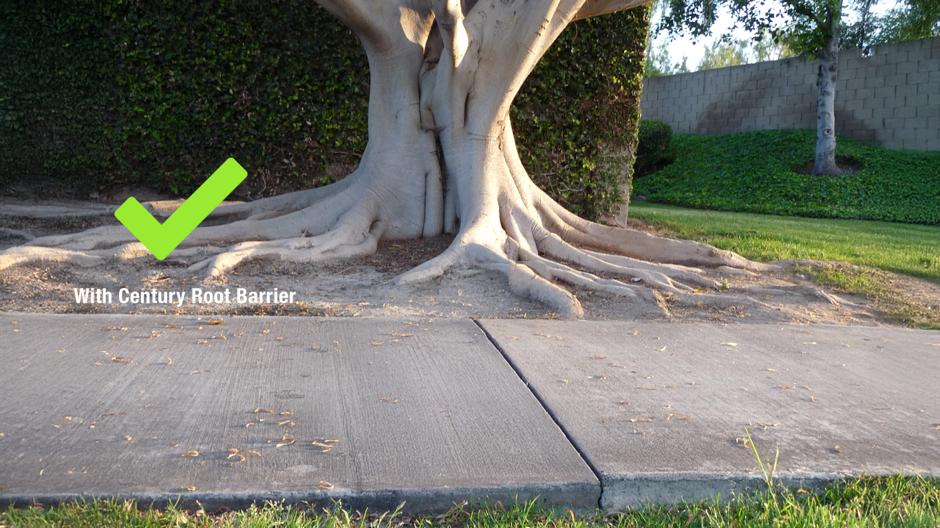 Protect your sidewalks from root damage with century root barriers.