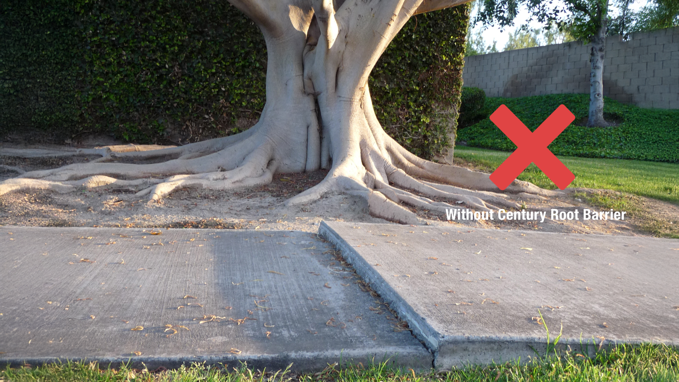 Protect Your Hardscape with Century Root Barrier