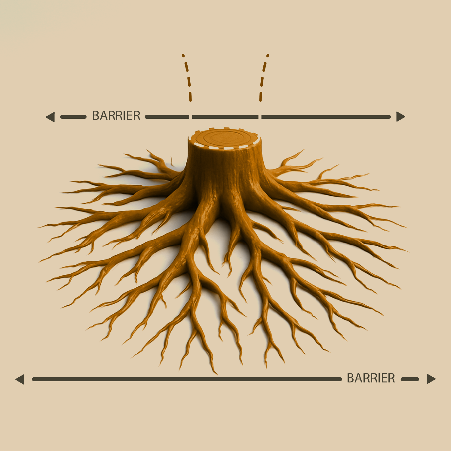 Linear Root Barrier Application