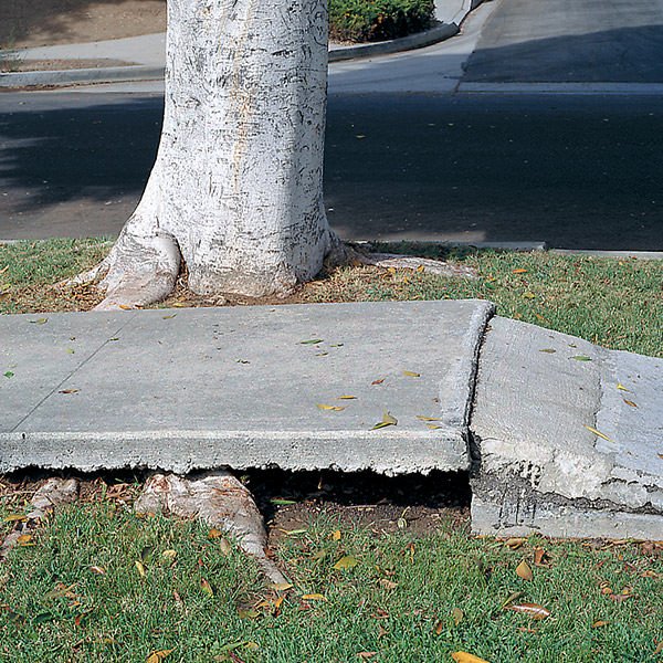 Dual Purpose Root and Water Barrier Rolls