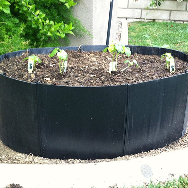 Raised Garden Beds